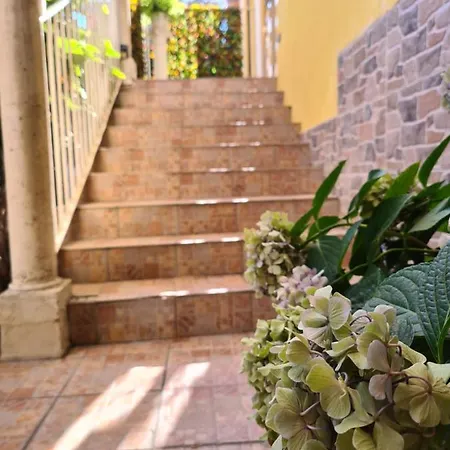 Bed & Breakfast Domus Lace 3*